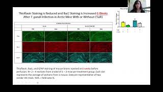 AD Toxoplasma Gondii Project UROP Video [upl. by Esilec]