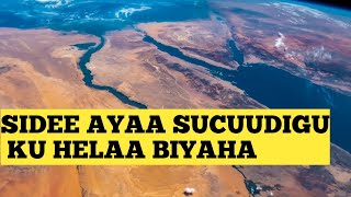 Sucuudiga Dalka Ugu Cabitaanka Badan Biyaha Badda [upl. by Sayers945]