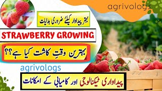 HOW TO GROW strawberries FROM SEEDS Seeds To Harvest  visit agrivologs [upl. by Tsan]