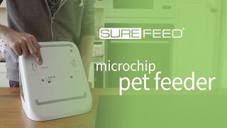 How to find the serial number on your SureFeed Microchip Pet Feeder [upl. by Riggs571]