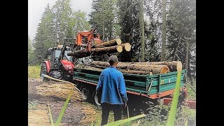 🌲 🌳 ForsttechnikWaldarbeit 🌲 🌳 Sturmholz aufräumen im Bergwald [upl. by Cormier]