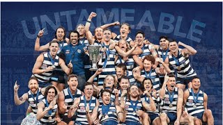 Geelong Cats 2022  Best Season Highlights No Filter [upl. by Nrek]