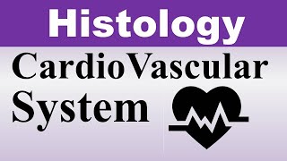 Chp12 Histology Inder Bir Singh  Histology of CardioVascular System  Histology Lectures [upl. by Frankel]