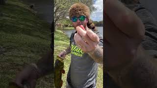 Big Fish Caught On BARE HOOK Florida Hack [upl. by Kirat973]