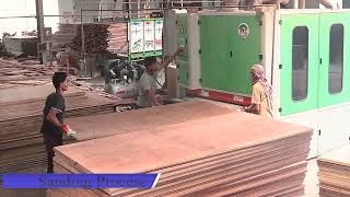 Welcome to MBK Plywood Factory [upl. by Darcy]