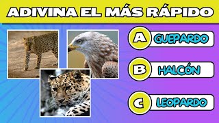 35 Preguntas de quotPRIMARIAquot🤓 ¿Cuánto Sabes de cultura general🧠🤔  Desafío Quiz✅ [upl. by Artapoelc55]