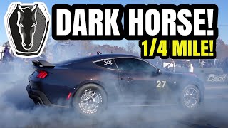 HERE’s WORLDS FASTEST DARK HORSE MUSTANG MICRORECORDS [upl. by Aihset]