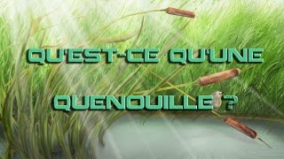 Questce quune quenouille   Linstant Quenouille 11 [upl. by Seilenna742]