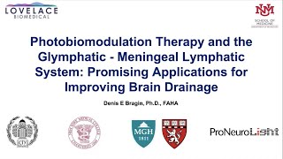 Lymphatic Brain System Augmentation of the Brain Glymphatic Drainage with Photobiomodulation [upl. by Ruscher]