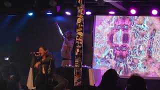 Anella Herim Tennessee Love Song Live 113023  The Rooster Gastonia NC [upl. by Persons]