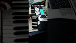 Yamaha Psr 550 Keyboard  Mux Sound [upl. by Tolecnal]