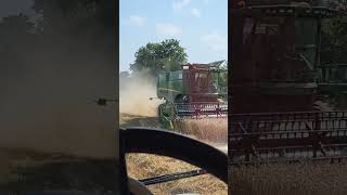 Battage du blé 🌾🚜 [upl. by Alebasi]