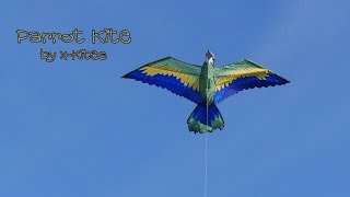 Parrot kite from XKites [upl. by Suriaj968]