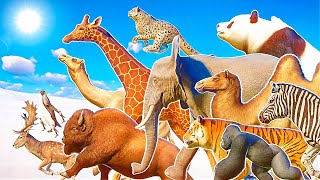 90 Animals Mega Running Race in Arctic Snow Included Modded Animals  Planet Zoo [upl. by Eelhsa]