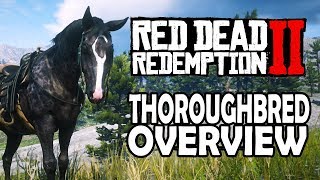 Thoroughbred Overview  Red Dead Redemption 2 Horses [upl. by Artema]