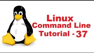 Linux Command Line Tutorial For Beginners 37  grep command [upl. by Margarita]