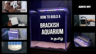 Brackish water aquarium setup in tamil [upl. by Domeniga157]