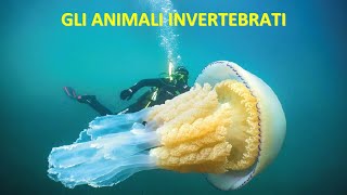 GLI ANIMALI INVERTEBRATI [upl. by Marchelle]