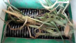 Green Waste ShredderCoconut Leaf shredding Banana Leaf Shredder Palm Leaf Shredding [upl. by Dante430]