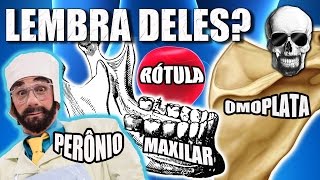 Vídeo Aula 143  Anatomia Humana  Osteologia  Nomenclatura Anatômica Antiga e Atual dos Ossos [upl. by Aissatsana]