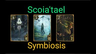 scoiatael symbiosis devotion vs nilfgaard enslave ProRank Gwent Card Game2410240919 [upl. by Fabian]