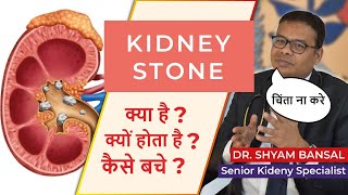 Kidney Stone Treatments  गुर्दे की पथरी Signs amp Symptoms  Diagnosis  Prevention  Causes Hindi [upl. by Sabsay541]