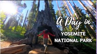 Road Trip  Yosemite National Park [upl. by Arola995]