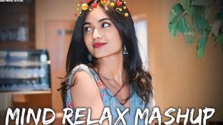 Mind Relaxing Songs 2024  Mind Relaxing Music Mind Relax Lofi Mashup 2024 Farid Np ❤️ [upl. by Eittap280]