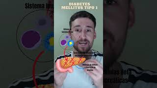 DIABETES MELLITUS TIPO 1  education health shorts [upl. by Merle]