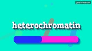 HETEROCHROMATIN  HOW TO PRONOUNCE IT [upl. by Greggory]