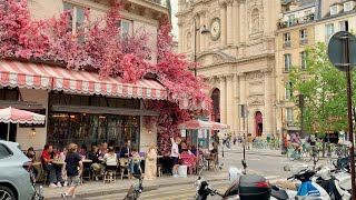 Exploring RIVOLI STREET in PARIS  One of the best streets to walk and shop in the city [upl. by Ronyam]