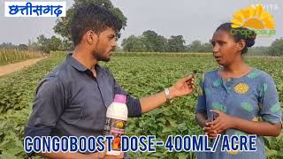 cropnosys india का Congoboost प्रोडक्ट हैं धसमाकेदार बहुत जोरदार रिजल्ट हैं [upl. by Eladroc]