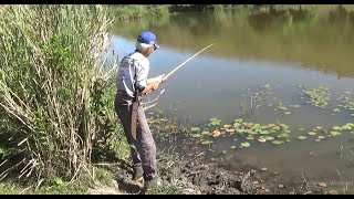 Nunca duvide das técnicas de pesca de um velho pescador de traíras [upl. by Liagaba]