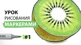 Урок по рисованию маркерами для новичков 1  Рисуем киви [upl. by Mascia]