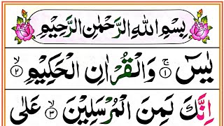 Surah Yaseen Full HD Colour Coded Arabic Text [upl. by Ecirad243]