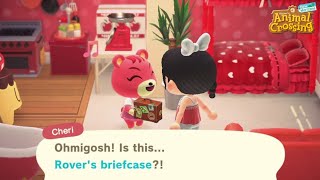 Never Give Away Rovers Briefcase  Animal Crossing Villager Gifts  ACNH May Day Maze Event [upl. by Bronwen657]