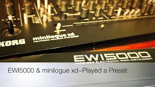 EWI5000 amp minilogue xdPlayed a Preset [upl. by Ellierim]