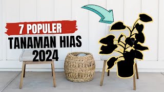 TANAMAN HIAS POPULER 2024‼️ [upl. by Tsai]