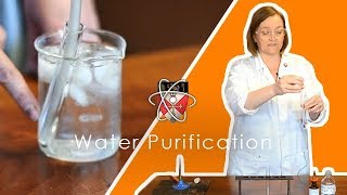 Water Purification amp Testing  GCSE Science Required Practical Triple [upl. by Mairem]