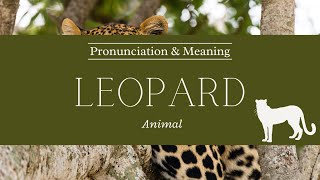 How to Pronounce Leopard  Pronunciation amp Meaning British English [upl. by Anglo217]