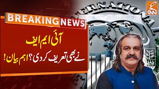 IMF Praised the System  Ali Amin Gandapur Important Statement  CM  KPK  Breaking News  GNN [upl. by Osmund]