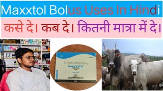 Maxxtol Bolus Uses in Hindi For Vetnery।। पशुओं में कब प्रयोग करे। ChemistRohitydv [upl. by Kcirdnek]