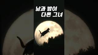 낮과 밤이 다른 그녀 OST  떳다 그녀 원곡 [upl. by Cottle534]