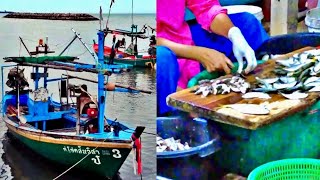 Early morning in a local fishing village near Chaam amp Hua Hin Beach  Phetchaburi travel [upl. by Zoa]