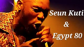 Seun Kuti amp Egypt 80  45 LeverkusenerJazztage 11112024 Germany [upl. by Eed]