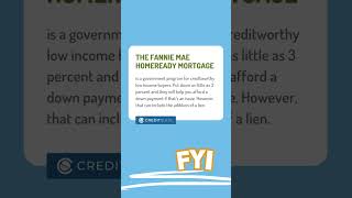 The Fannie Mae HomeReady Mortgage [upl. by Amoreta]