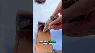 Shocking Dryer Vent Discovery What Painters Missed dryer [upl. by Brine]