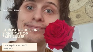 La signification de la rose rouge 🌹 [upl. by Chiarra]