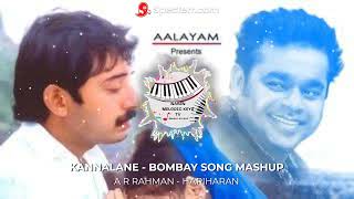 KANNALANE  BOMBAY SONG REMIX MASHUP [upl. by Ayhtak]