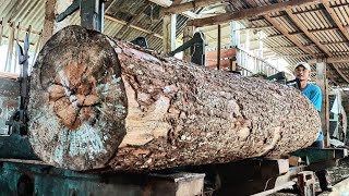 Amazing sawmill action  big pine wood [upl. by Aieken910]